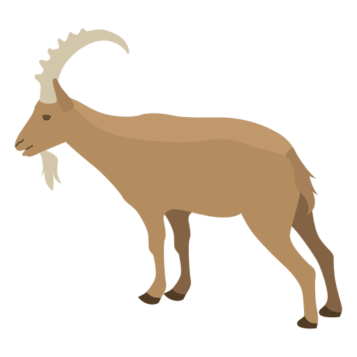 512x512 Wild Goat Illustration