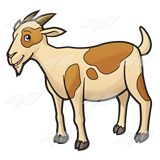 160x160 Abeka Clip Art Spotted Goat