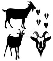 176x200 Goat Silhouette Stock Vectors