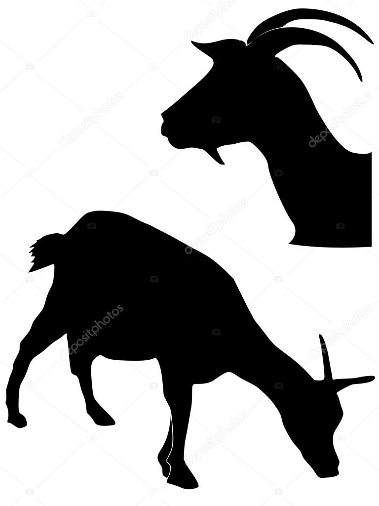 768x1024 Silhouette Of Goat Stock Vector Perysty