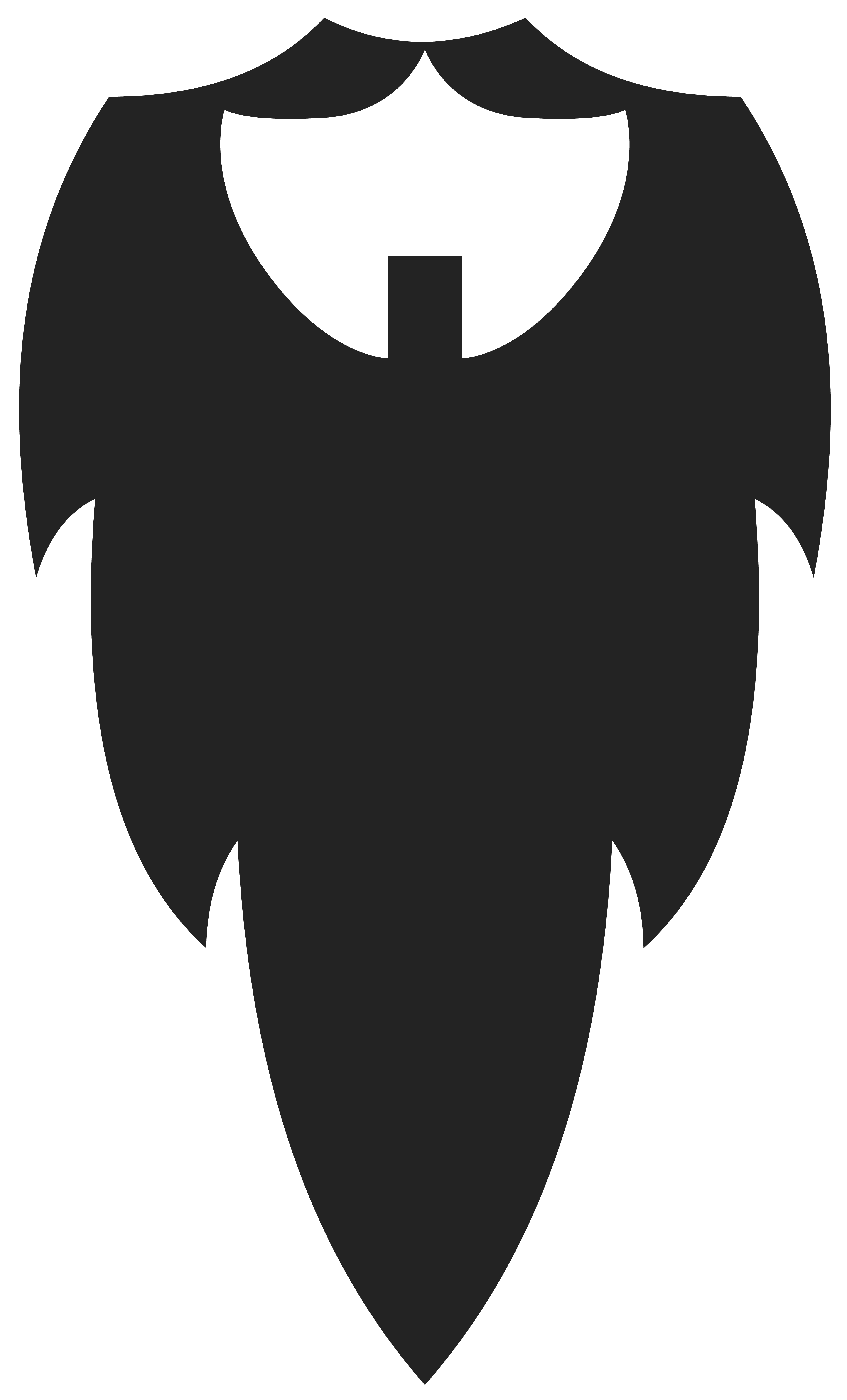 3733x6168 Full Beard Clipart