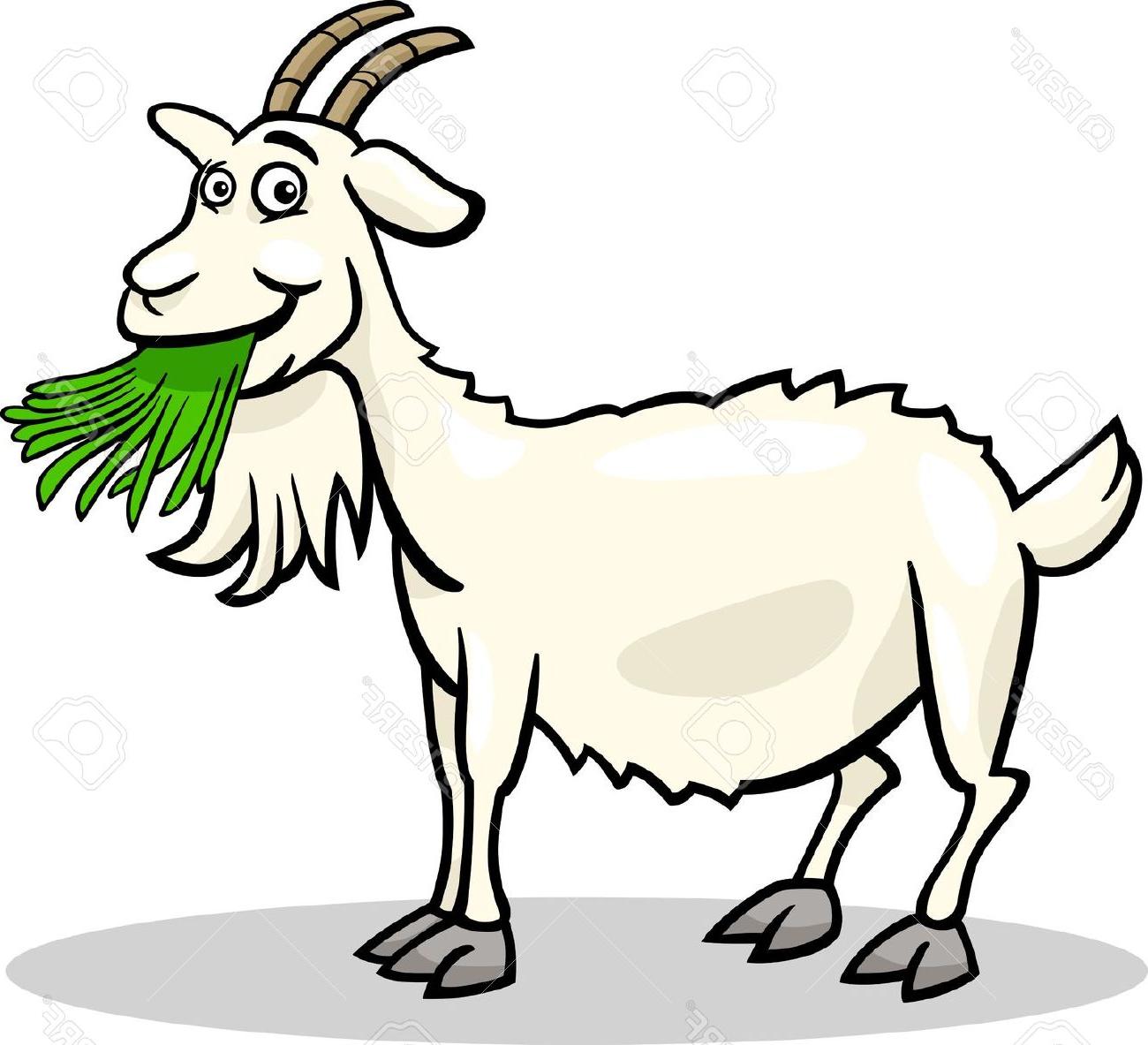 1300x1183 Hd Clipart Farm Goat Images