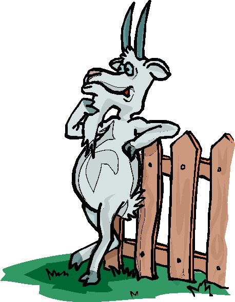 458x589 Clip Art Pirate Skull Clipart