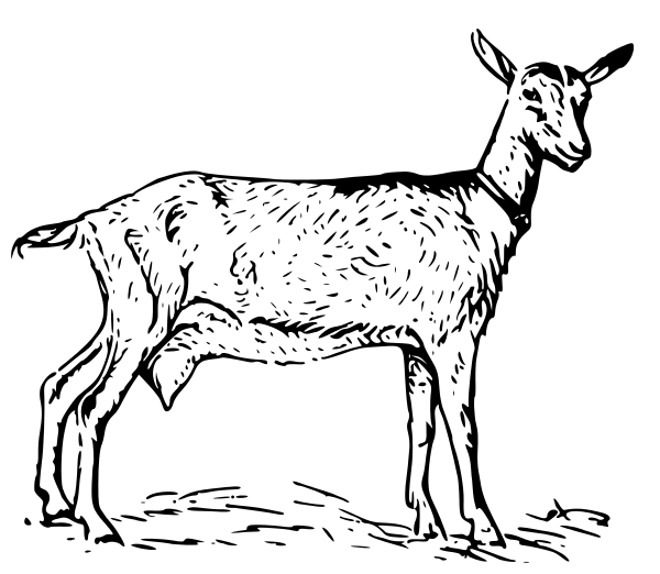 600x522 Clip Art Clip Art Goats 2 Image