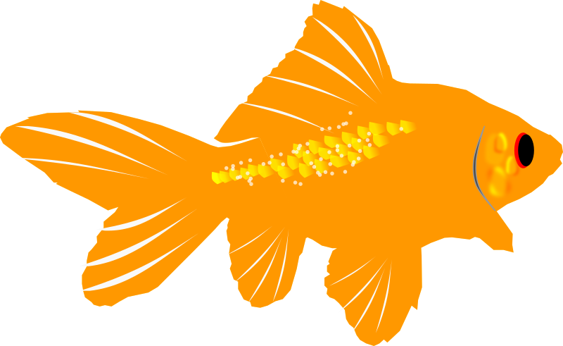 800x491 Free To Use Amp Public Domain Fish Clip Art