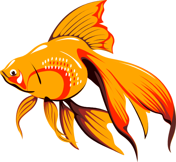 600x555 Golden Fish Clip Art