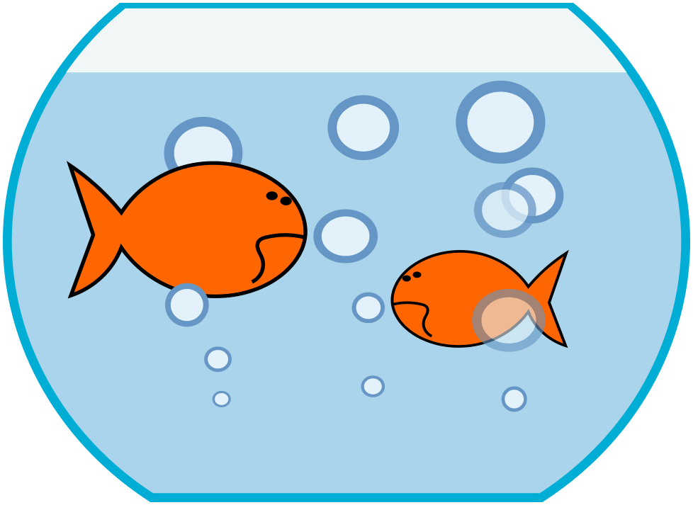 978x713 Goldfish Cliparts Girl 216714