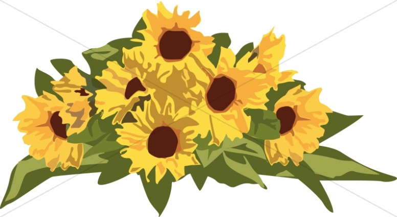 776x424 Flower Borders, Flower Border Clipart