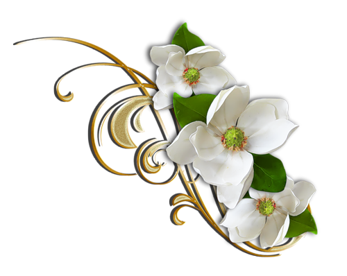 500x398 White Flower With Gold Decorative Elemant Clipart Flower