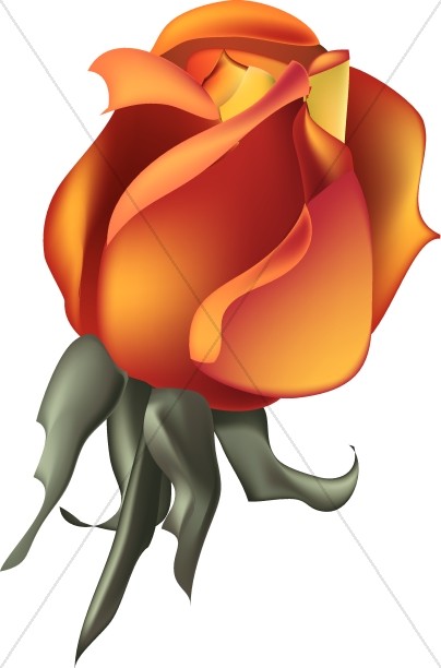 404x612 Gold Rose Blossom Church Rose Clipart