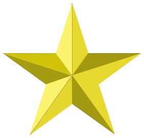 282x270 Gold Star Clipart Synkee 2