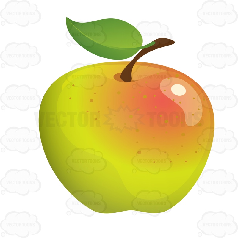 800x800 Golden Delicious Apple Cartoon Clipart