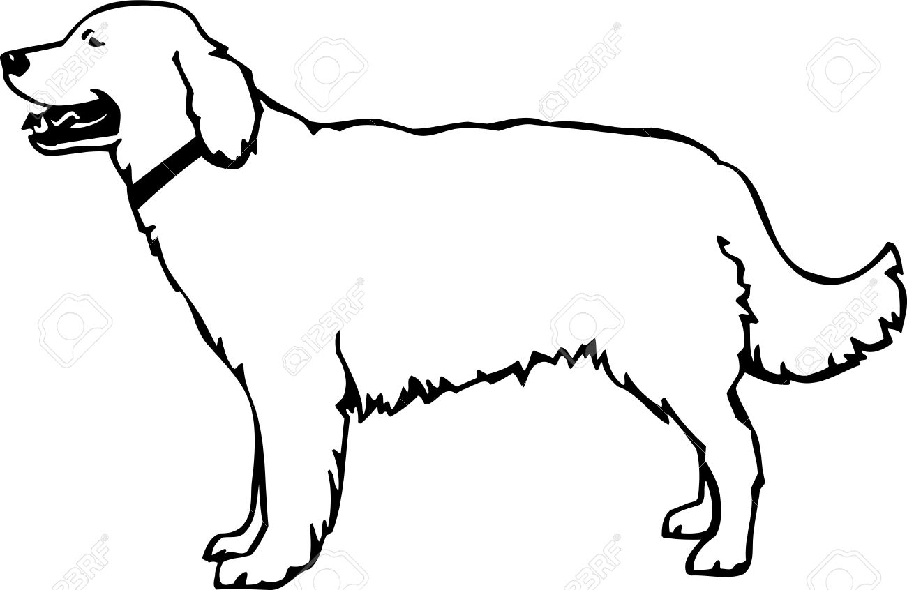 1300x846 Golden Retriever Clipart Animated