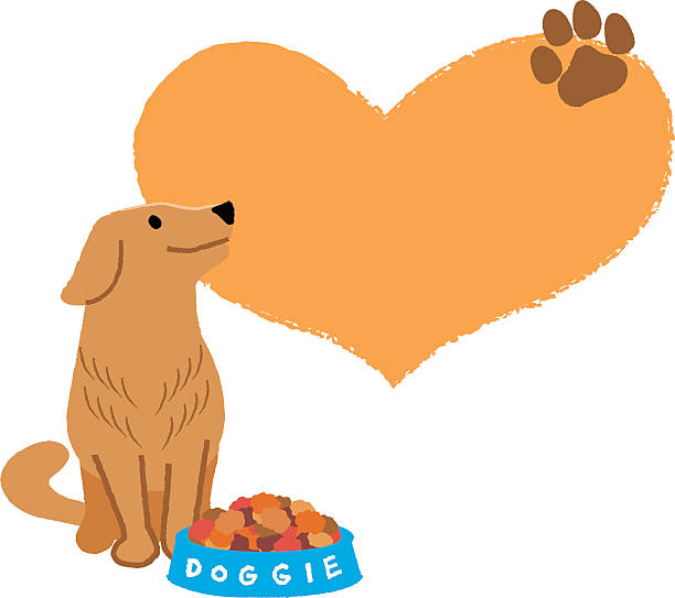 612x543 Golden Retriever Clipart Cartoon