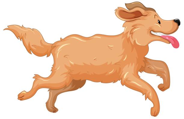 612x396 Golden Retriever Clipart Transparent