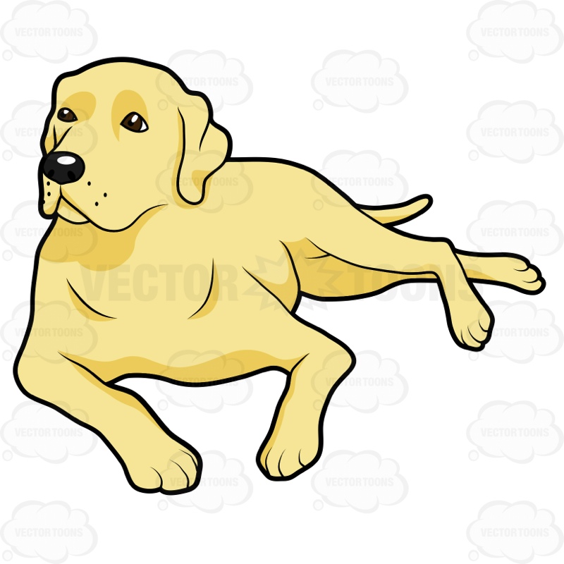800x800 Yellow Labrador Lying Down On Its Side Cartoon Clipart