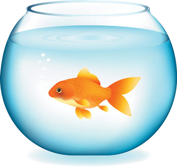 goldfish bowl clipart