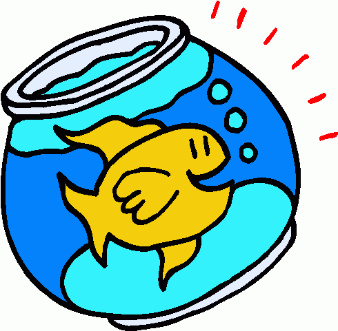 490x481 Bowl Clipart Goldfish