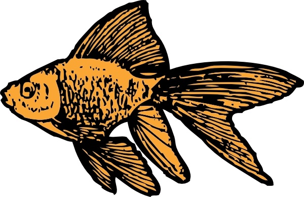 600x389 Goldfish Clip Art Free Vector In Open Office Drawing Svg
