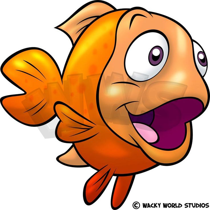 736x734 Goldfish Clipart Baby Fish