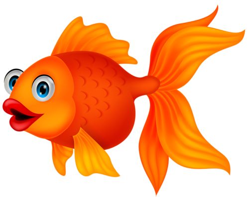 500x396 Goldfish Clipart Colored Fish