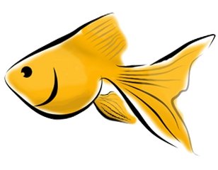308x240 Goldfish Clipart Golden Fish
