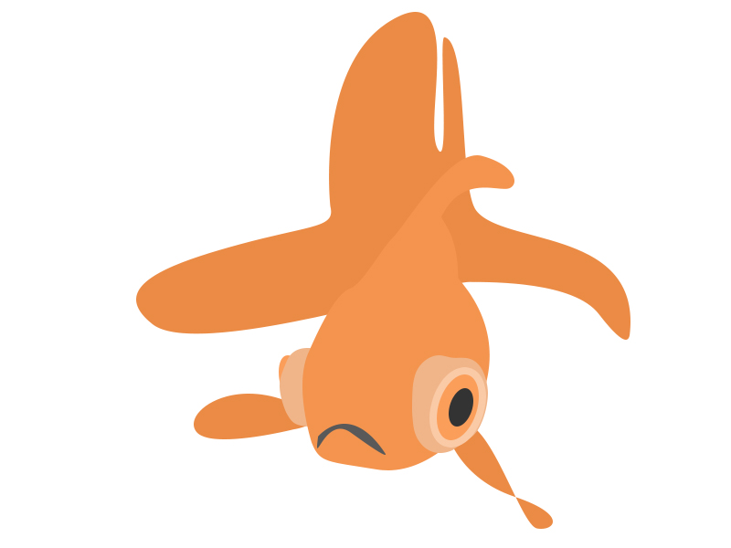 800x600 Goldfish Clipart Orange Objects