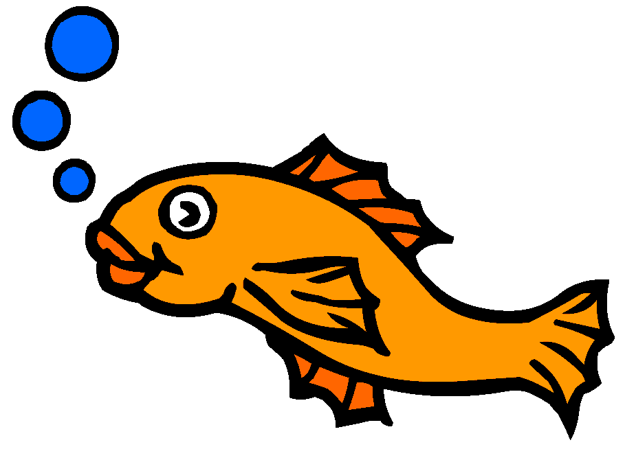 909x670 Gold Fish Clip Art