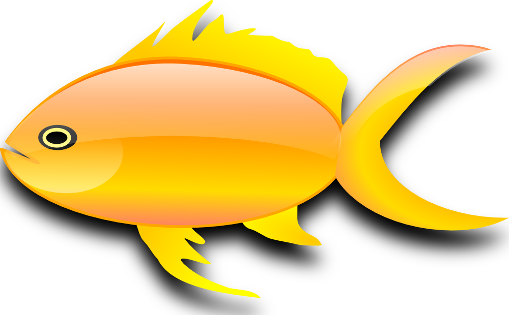 1000x620 Gold Fish Clipart Goldfish Crackers