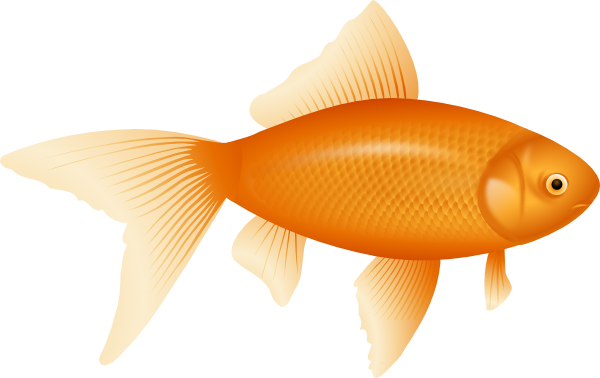 600x378 Goldfish Clip Art