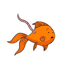 300x300 Lice And Worms In Goldfish