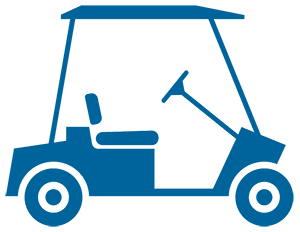 300x232 Golf Cart Dealer St. Petersburg, Fl Ed Burns Bay Area Golf Cars