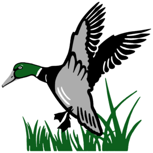 300x300 Highland Green Golf Club Maine Golf Courses Topsham Me Public Golf