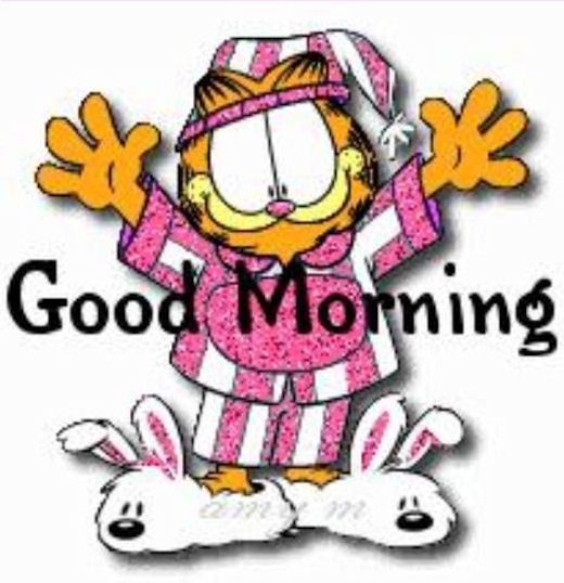 520x538 Best Good Morning Cat Ideas Good Morning