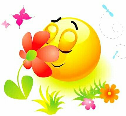 429x393 130 Best Emoji Images Anonymous, Cats And Colours