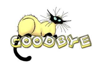 300x225 70 Best Goodbye Images Bye Bye, Carnival And Bear