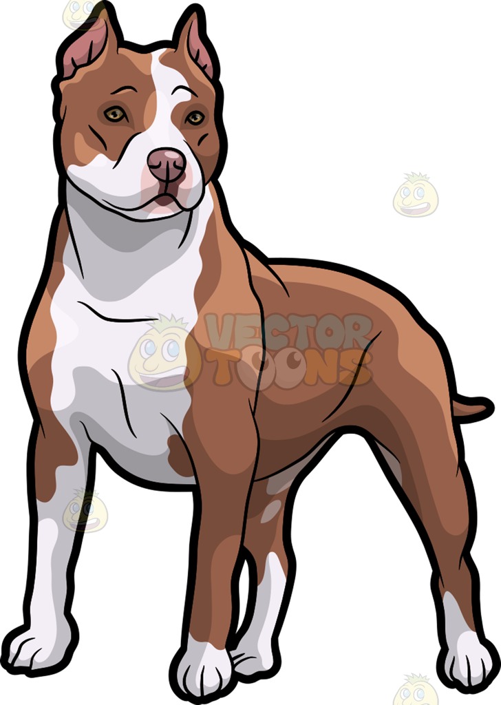 728x1024 Pit Bull Dog Clipart