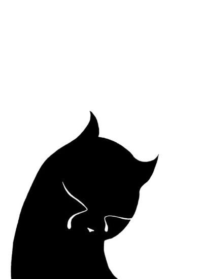 400x551 8 Best Goodbye My Precious Scruffles The Dog Cat That Would Show