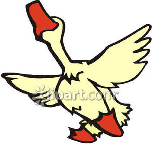 300x285 Goose Seen From Below