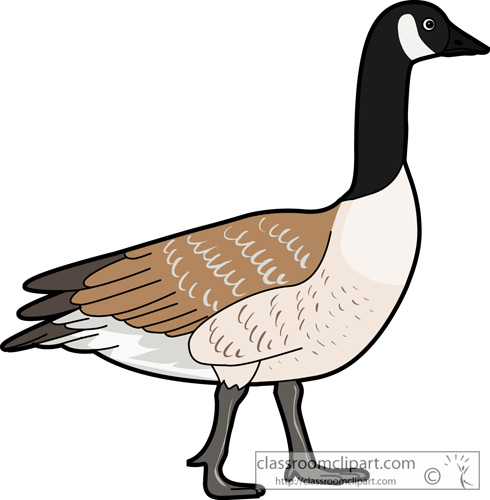 490x500 Goose Clip Art 2
