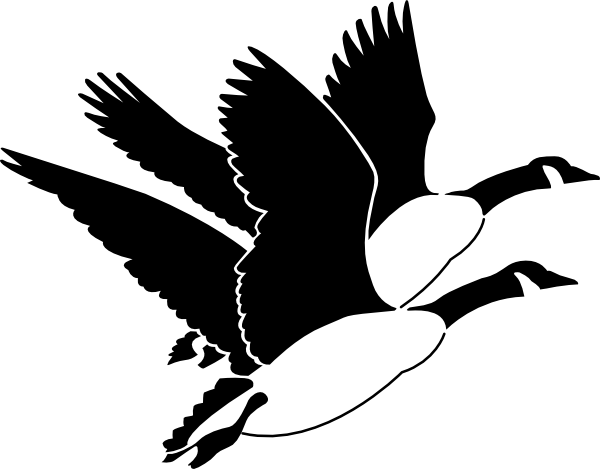 600x469 Goose Clipart 10 Nice Clip Art