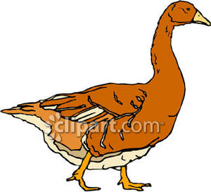 300x273 Goose Clipart Brown