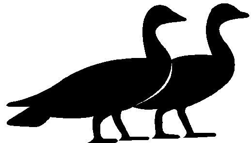 518x296 Goose Geese Clip Art 3