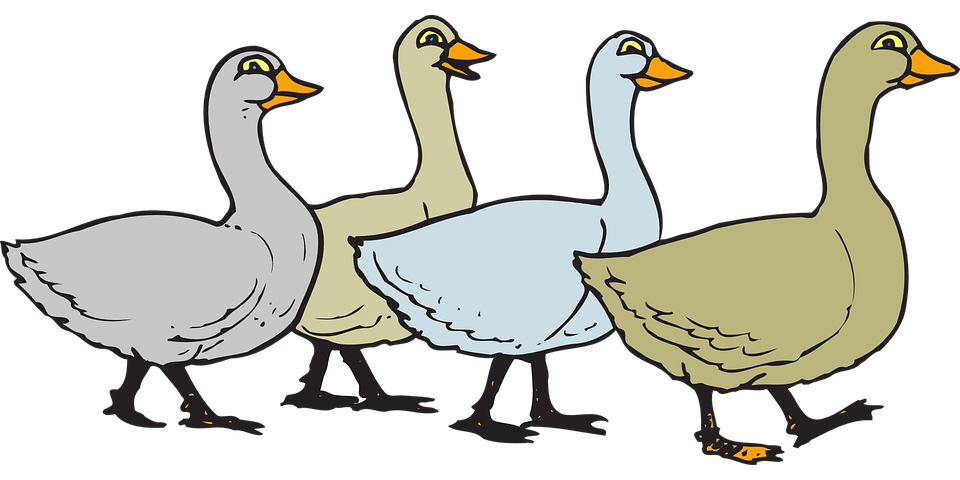 960x480 Top 80 Goose Clipart