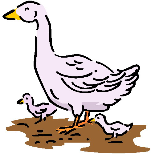 490x500 Free Goose Clipart Image