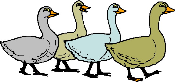 569x269 Geese Clipart
