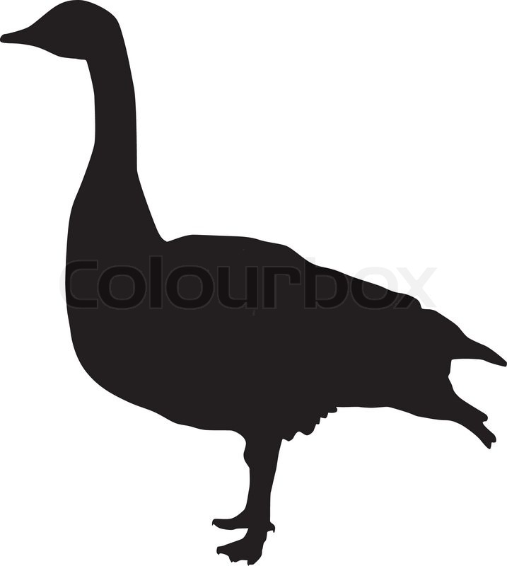 717x800 Canada Goose Clipart
