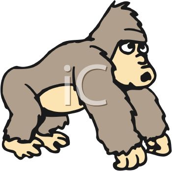350x347 Picture Of Young Gorilla Standing On White Background In