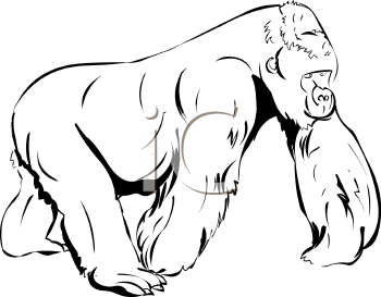 350x273 Top 86 Gorilla Clip Art