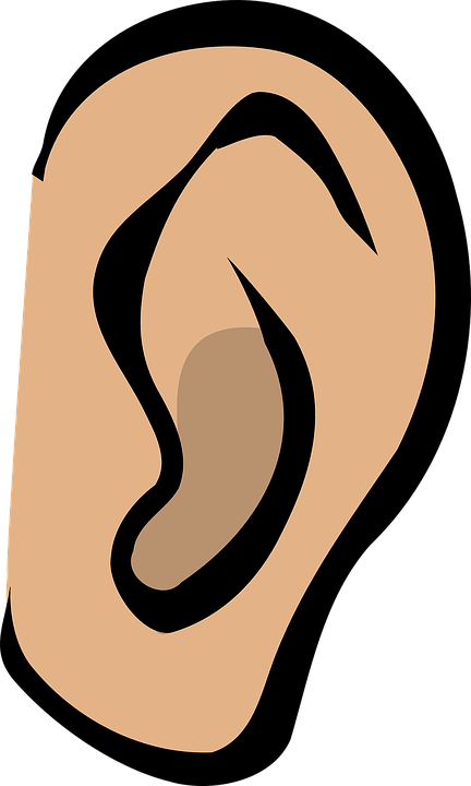 432x720 Sound Ear Clipart, Explore Pictures